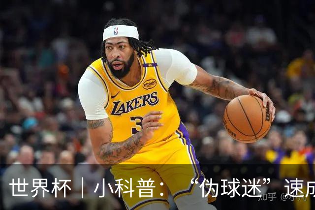世界杯｜小科普：“伪球迷”速成手册